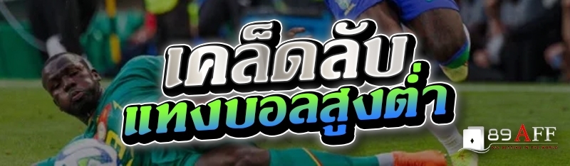 เคล็ดลับแทงบอลสูงต่ำ  