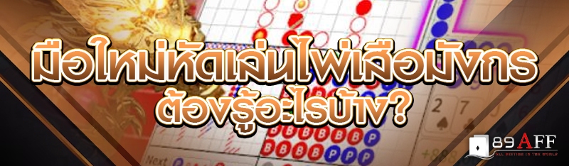 มือใหม่หัดเล่นไพ่เสือมังกร ต้องรู้อะไรบ้าง?