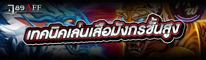 เทคนิคเล่นเสือมังกรขั้นสูง 